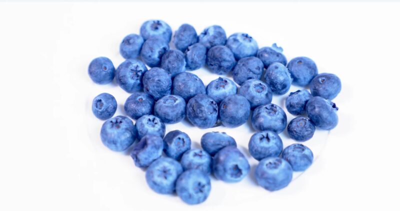 Blueberries Rotating on a White Background