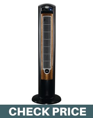 lasko T42950 blackwood